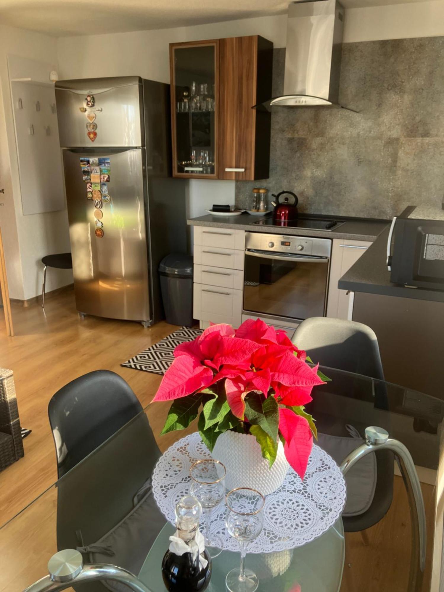 Apartman Karin Huty Zewnętrze zdjęcie